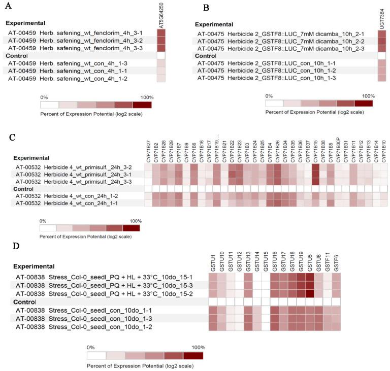 https://cdn.ncbi.nlm.nih.gov/pmc/blobs/9a0c/9316059/ff2fcfe5f5a5/genes-13-01171-g006.jpg