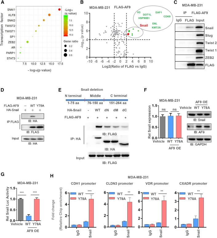 https://cdn.ncbi.nlm.nih.gov/pmc/blobs/9a0d/7934584/3129a4c06d85/gr4.jpg
