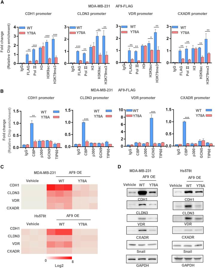 https://cdn.ncbi.nlm.nih.gov/pmc/blobs/9a0d/7934584/409b35eb6ff1/gr5.jpg