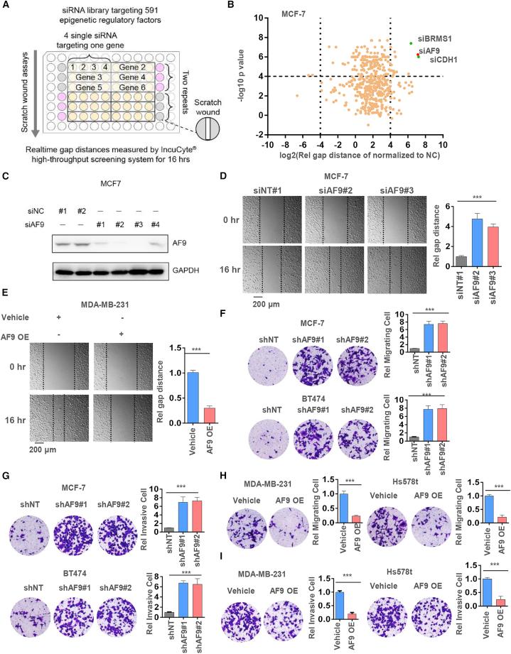 https://cdn.ncbi.nlm.nih.gov/pmc/blobs/9a0d/7934584/a7705d1ae7a6/gr1.jpg
