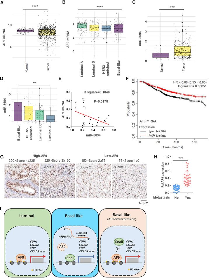 https://cdn.ncbi.nlm.nih.gov/pmc/blobs/9a0d/7934584/c46a2eb3fda2/gr7.jpg