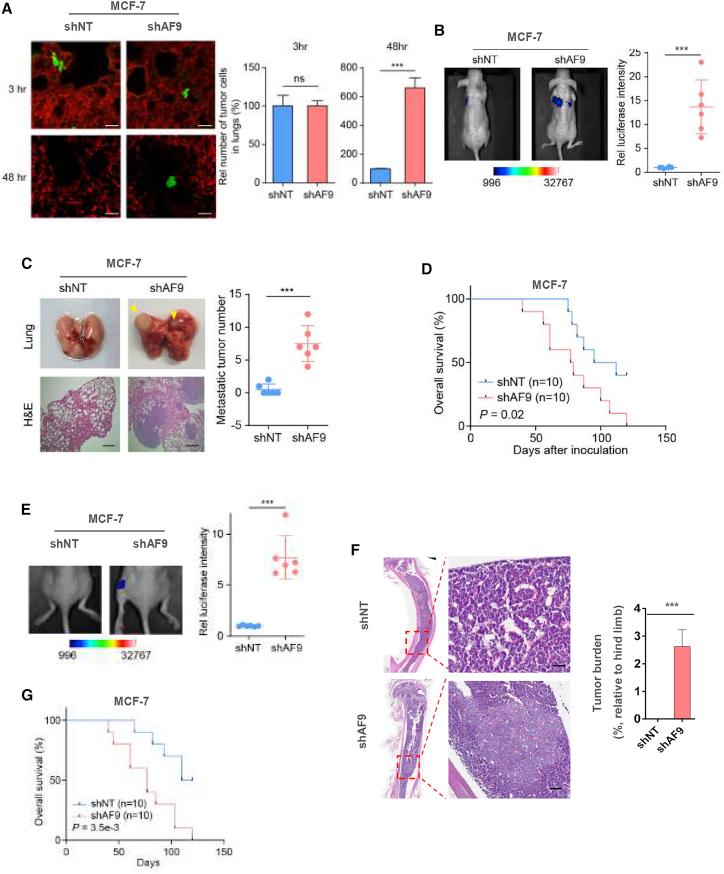 https://cdn.ncbi.nlm.nih.gov/pmc/blobs/9a0d/7934584/deb095ef2279/gr2.jpg