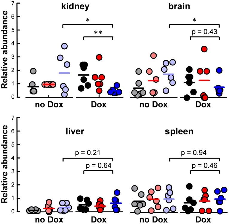 https://cdn.ncbi.nlm.nih.gov/pmc/blobs/9a0e/5456399/5cd9d1403943/ppat.1006405.g005.jpg