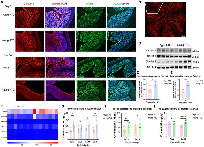 https://cdn.ncbi.nlm.nih.gov/pmc/blobs/9a0f/11450648/2eb9e14f2569/fnins-18-1398913-g0007.jpg