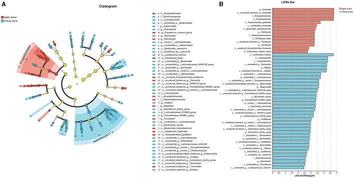 https://cdn.ncbi.nlm.nih.gov/pmc/blobs/9a0f/11450648/2f890bdba306/fnins-18-1398913-g0005.jpg