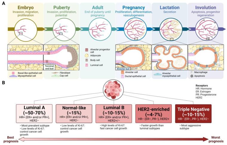 https://cdn.ncbi.nlm.nih.gov/pmc/blobs/9a0f/9786715/679035b49695/ijms-23-15978-g001.jpg