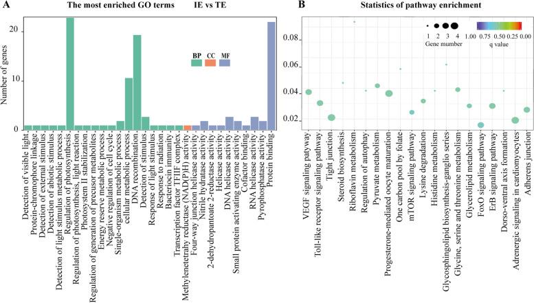https://cdn.ncbi.nlm.nih.gov/pmc/blobs/9a10/9347082/54ecd11eedc3/12864_2022_8783_Fig3_HTML.jpg