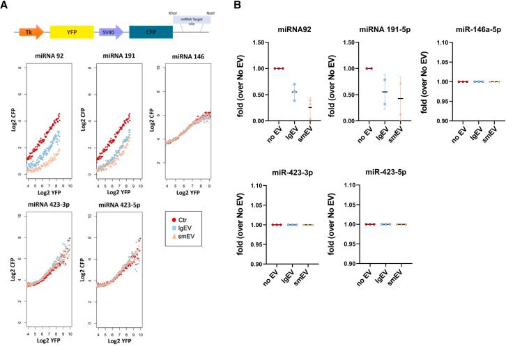 https://cdn.ncbi.nlm.nih.gov/pmc/blobs/9a11/11541841/fa6fcfef8643/gr4.jpg