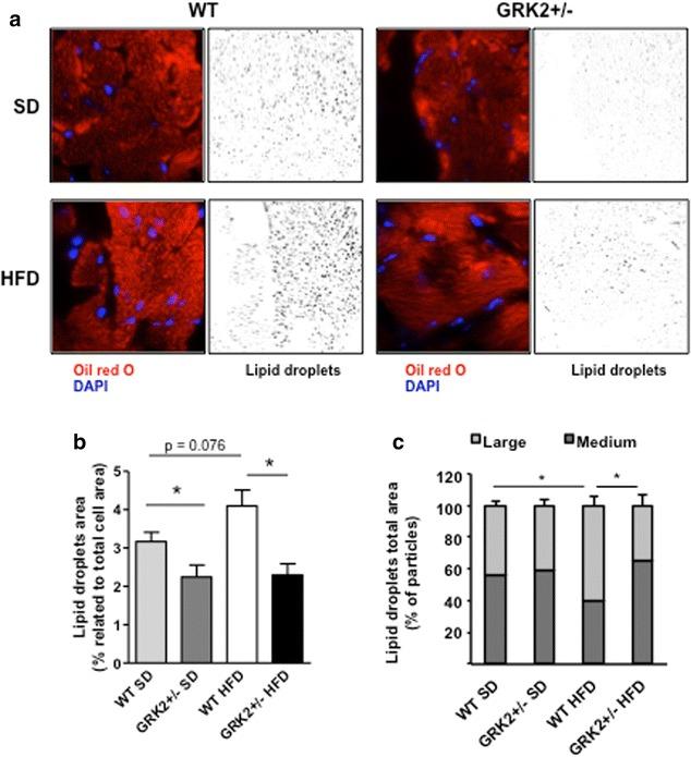 https://cdn.ncbi.nlm.nih.gov/pmc/blobs/9a11/5105284/520f10586cbe/12933_2016_474_Fig3_HTML.jpg
