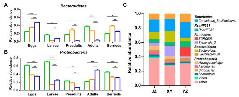 https://cdn.ncbi.nlm.nih.gov/pmc/blobs/9a12/7565139/3d732a61f5ac/microorganisms-08-01376-g007.jpg