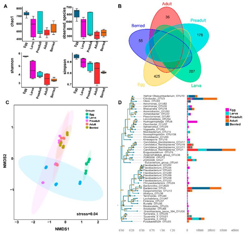 https://cdn.ncbi.nlm.nih.gov/pmc/blobs/9a12/7565139/e212b27f2556/microorganisms-08-01376-g003.jpg