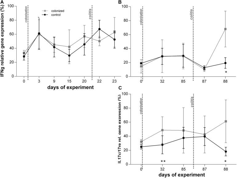 https://cdn.ncbi.nlm.nih.gov/pmc/blobs/9a12/8058373/52def987b337/fmicb-12-641483-g004.jpg