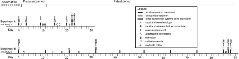 https://cdn.ncbi.nlm.nih.gov/pmc/blobs/9a12/8058373/7bdae7888bea/fmicb-12-641483-g001.jpg