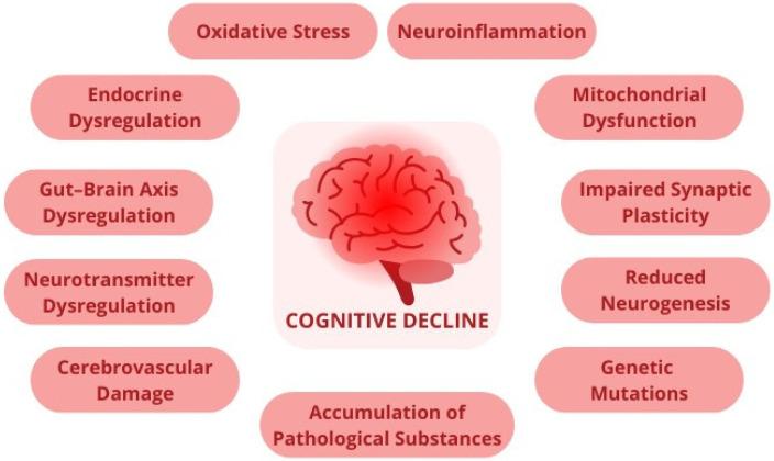 https://cdn.ncbi.nlm.nih.gov/pmc/blobs/9a13/11510709/8d632baf95a4/nutrients-16-03570-g001.jpg