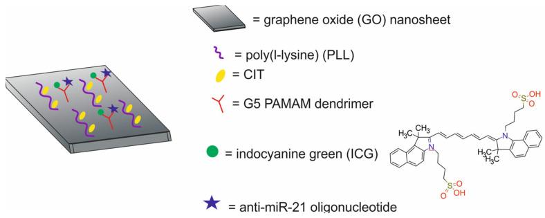 https://cdn.ncbi.nlm.nih.gov/pmc/blobs/9a15/11677634/09d69152d2d2/molecules-29-05985-g033.jpg