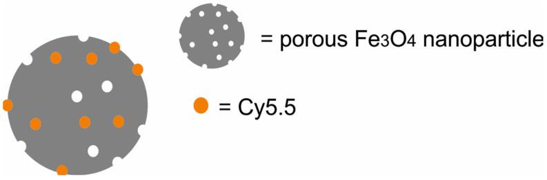 https://cdn.ncbi.nlm.nih.gov/pmc/blobs/9a15/11677634/0df83dad2159/molecules-29-05985-g005.jpg