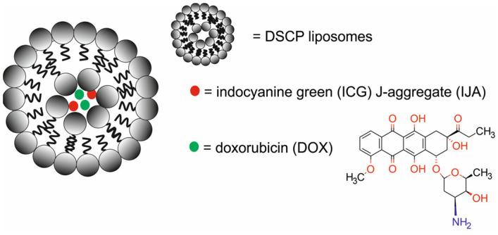 https://cdn.ncbi.nlm.nih.gov/pmc/blobs/9a15/11677634/55e58af1370a/molecules-29-05985-g025.jpg