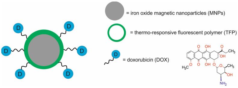 https://cdn.ncbi.nlm.nih.gov/pmc/blobs/9a15/11677634/5f1d75ccc986/molecules-29-05985-g002.jpg