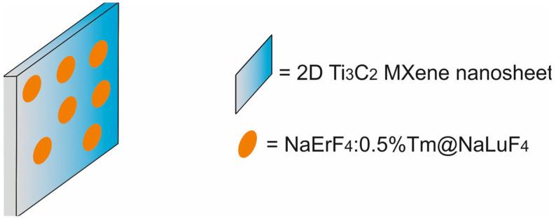 https://cdn.ncbi.nlm.nih.gov/pmc/blobs/9a15/11677634/6332e2439808/molecules-29-05985-g037.jpg