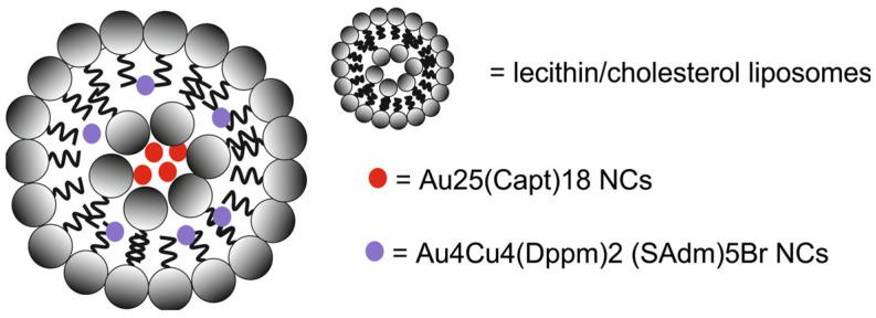 https://cdn.ncbi.nlm.nih.gov/pmc/blobs/9a15/11677634/67f0e75c0bf5/molecules-29-05985-g027.jpg