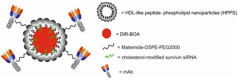https://cdn.ncbi.nlm.nih.gov/pmc/blobs/9a15/11677634/a78bac4f0fe6/molecules-29-05985-g026.jpg