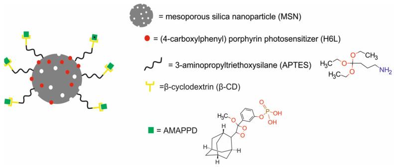 https://cdn.ncbi.nlm.nih.gov/pmc/blobs/9a15/11677634/c0ddf758577a/molecules-29-05985-g021.jpg