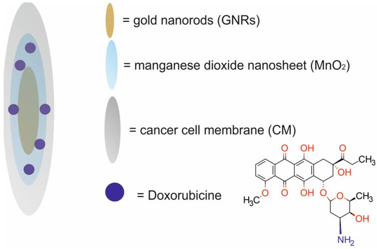 https://cdn.ncbi.nlm.nih.gov/pmc/blobs/9a15/11677634/f1252565dd8f/molecules-29-05985-g008.jpg