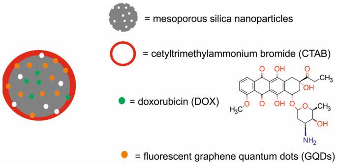 https://cdn.ncbi.nlm.nih.gov/pmc/blobs/9a15/11677634/f8881df3ee17/molecules-29-05985-g022.jpg