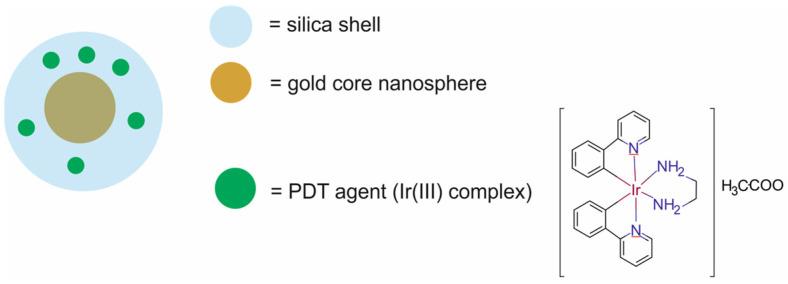 https://cdn.ncbi.nlm.nih.gov/pmc/blobs/9a15/11677634/fefe39a17754/molecules-29-05985-g036.jpg