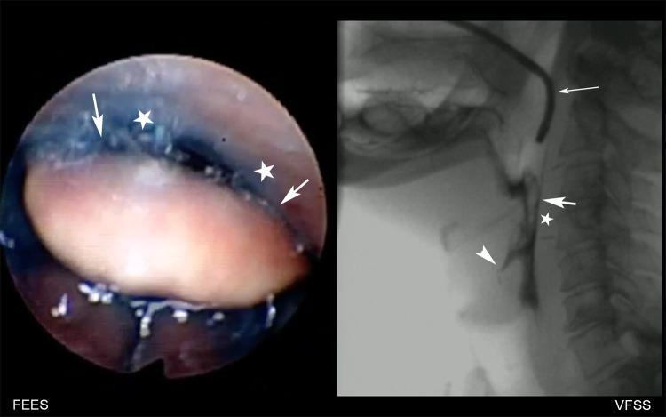 https://cdn.ncbi.nlm.nih.gov/pmc/blobs/9a17/6825654/f396b9d4418f/455_2019_9979_Fig1_HTML.jpg