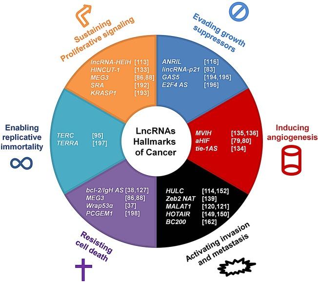 https://cdn.ncbi.nlm.nih.gov/pmc/blobs/9a1b/4294373/9fd8c6e76264/oncotarget-05-10976-g002.jpg