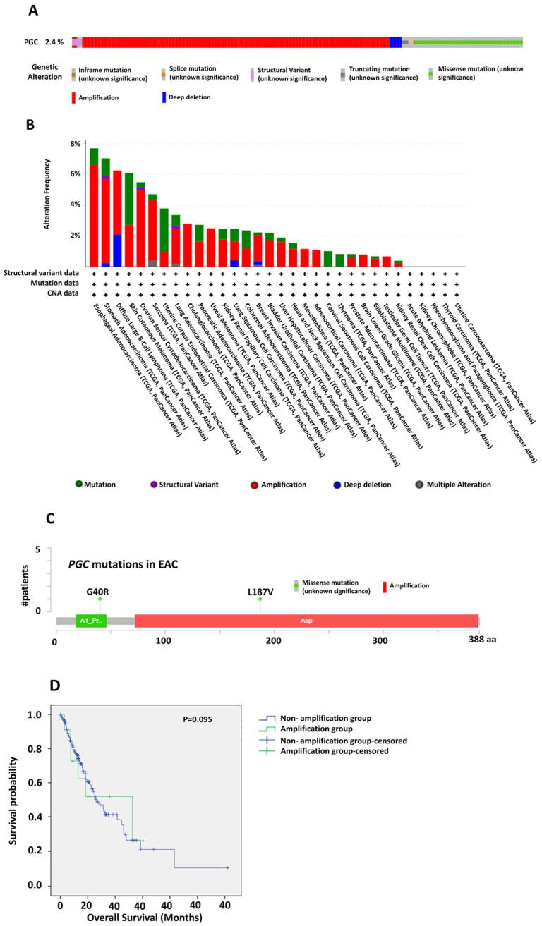 https://cdn.ncbi.nlm.nih.gov/pmc/blobs/9a1e/11675858/23a94dd333e4/diagnostics-14-02863-g002.jpg