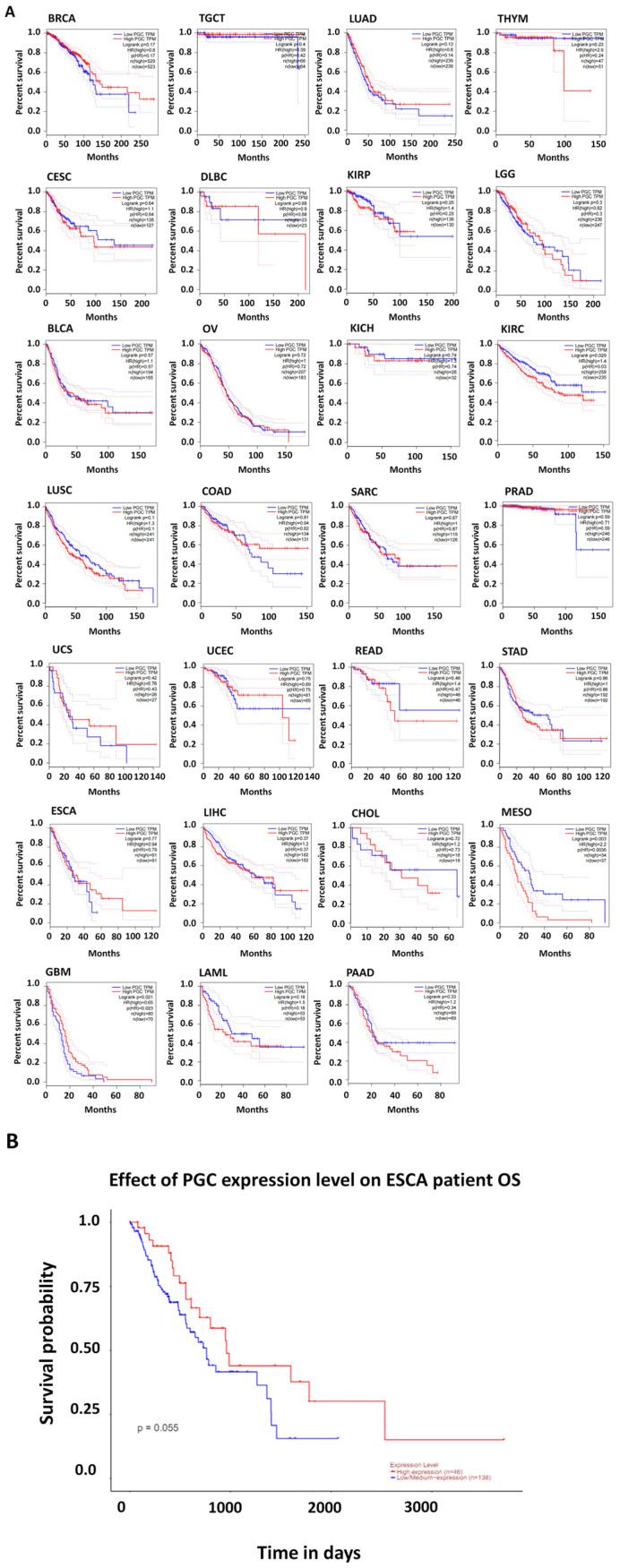 https://cdn.ncbi.nlm.nih.gov/pmc/blobs/9a1e/11675858/7c9c6e150807/diagnostics-14-02863-g004.jpg
