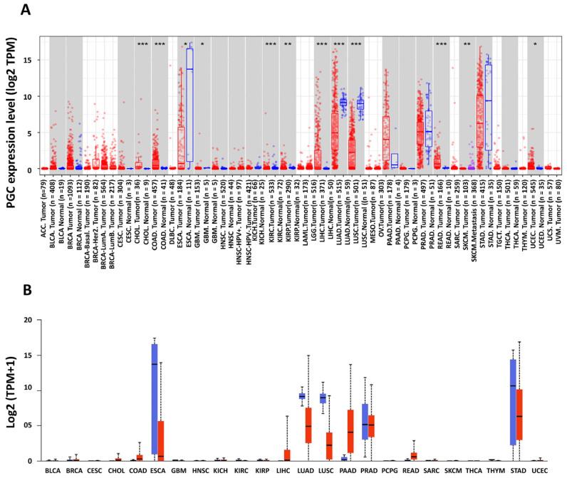 https://cdn.ncbi.nlm.nih.gov/pmc/blobs/9a1e/11675858/a2339beea7ae/diagnostics-14-02863-g001.jpg