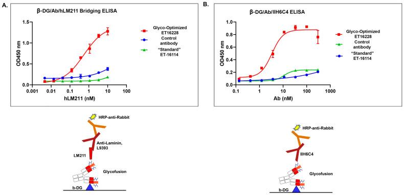 https://cdn.ncbi.nlm.nih.gov/pmc/blobs/9a1f/11503271/d3e72c34f683/antibodies-13-00083-g004.jpg