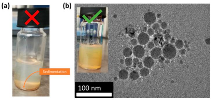 https://cdn.ncbi.nlm.nih.gov/pmc/blobs/9a1f/7996915/976103e9d7d5/nanomaterials-11-00592-g003.jpg