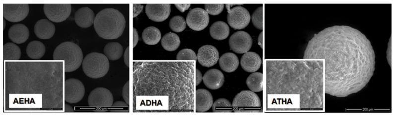 https://cdn.ncbi.nlm.nih.gov/pmc/blobs/9a20/9572090/65d120e0217c/polymers-14-04151-g007.jpg