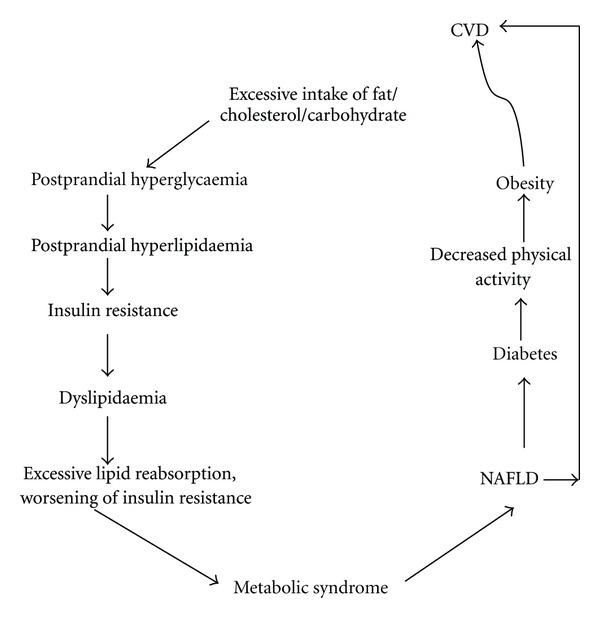 https://cdn.ncbi.nlm.nih.gov/pmc/blobs/9a21/3540795/052968f3b15b/JOBES2012-483135.002.jpg