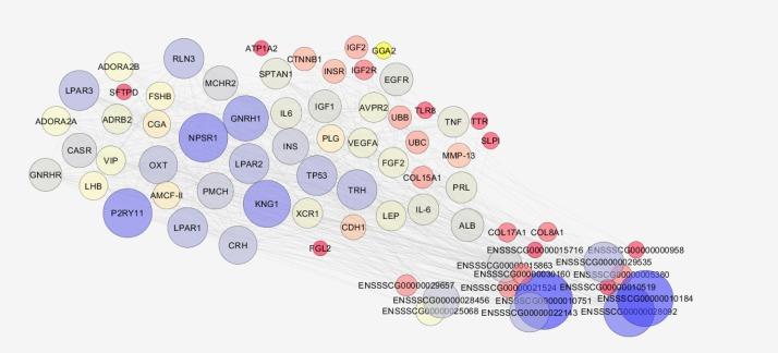 https://cdn.ncbi.nlm.nih.gov/pmc/blobs/9a21/6289159/565ed4b5b803/emerg-6-e40-g002.jpg