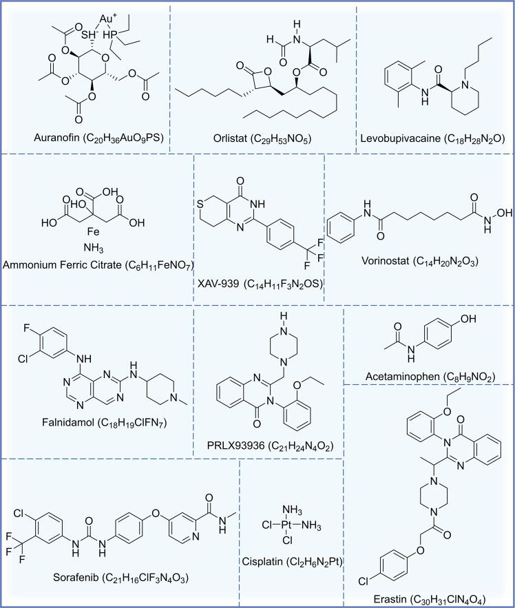 https://cdn.ncbi.nlm.nih.gov/pmc/blobs/9a22/10067943/ac7e83dbd762/41420_2023_1407_Fig3_HTML.jpg