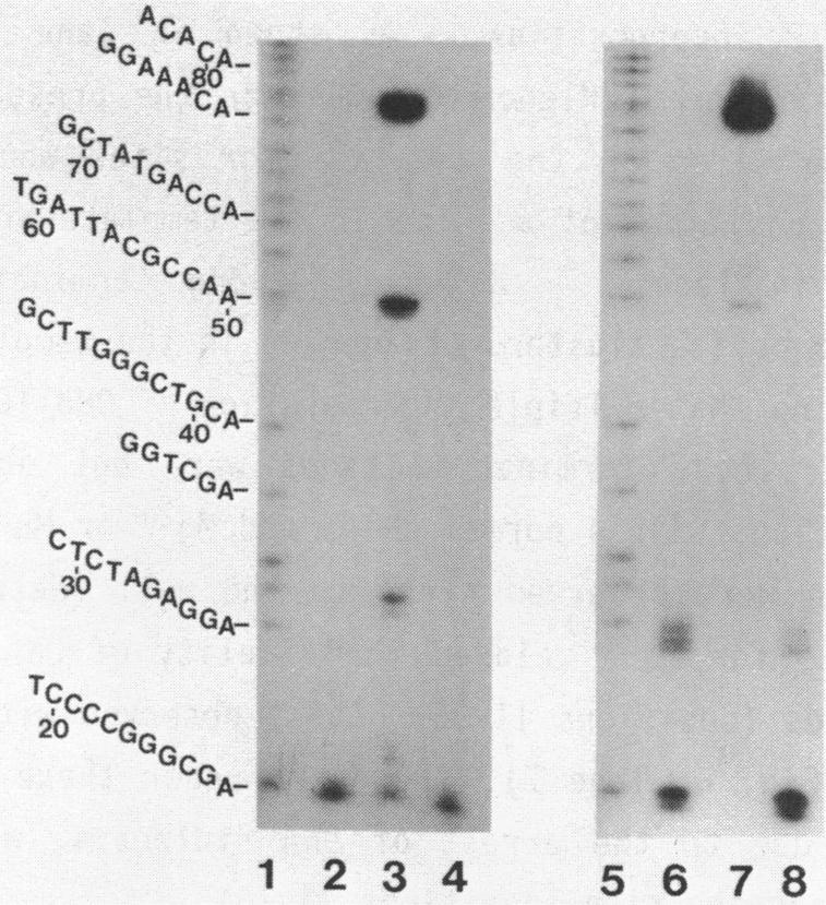 https://cdn.ncbi.nlm.nih.gov/pmc/blobs/9a22/339014/800361713de1/nar00165-0396-a.jpg