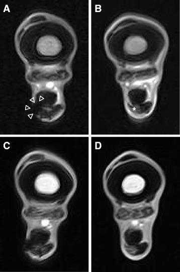 https://cdn.ncbi.nlm.nih.gov/pmc/blobs/9a22/4736260/32dbb225ab13/13287_2016_281_Fig7_HTML.jpg
