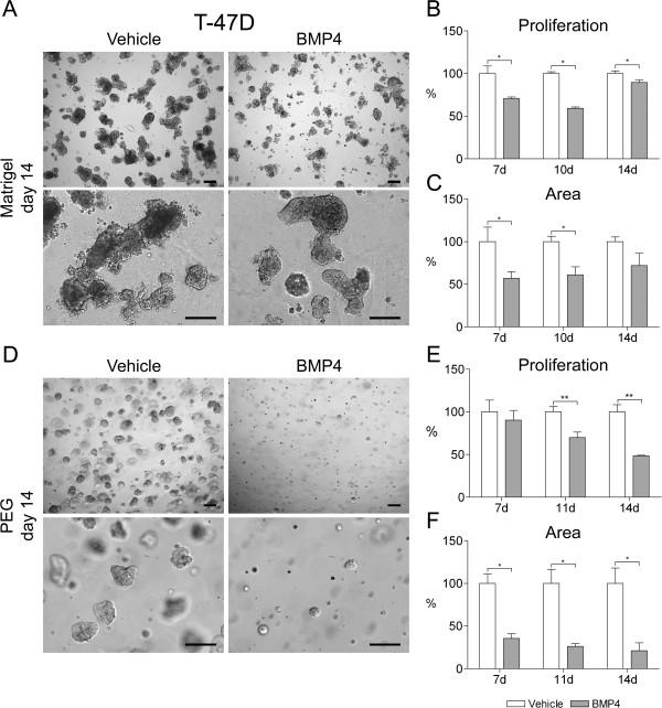 https://cdn.ncbi.nlm.nih.gov/pmc/blobs/9a25/3848934/456d01c36ecf/1471-2407-13-429-3.jpg
