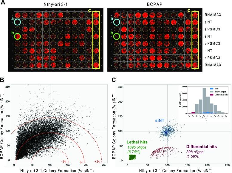 https://cdn.ncbi.nlm.nih.gov/pmc/blobs/9a25/4741478/5574b544bced/oncotarget-06-34629-g001.jpg