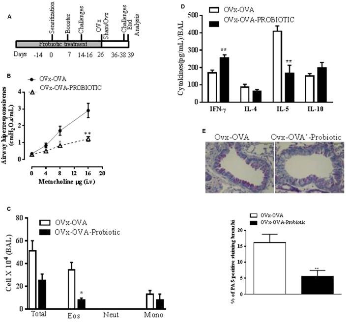 https://cdn.ncbi.nlm.nih.gov/pmc/blobs/9a25/5604069/e0e77340600e/fmicb-08-01732-g003.jpg