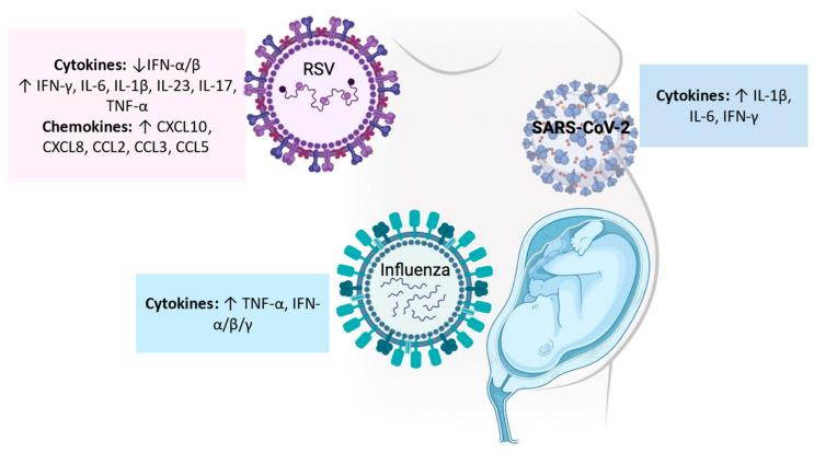 https://cdn.ncbi.nlm.nih.gov/pmc/blobs/9a26/11172738/5464cf3ad42f/ijms-25-06178-g002.jpg