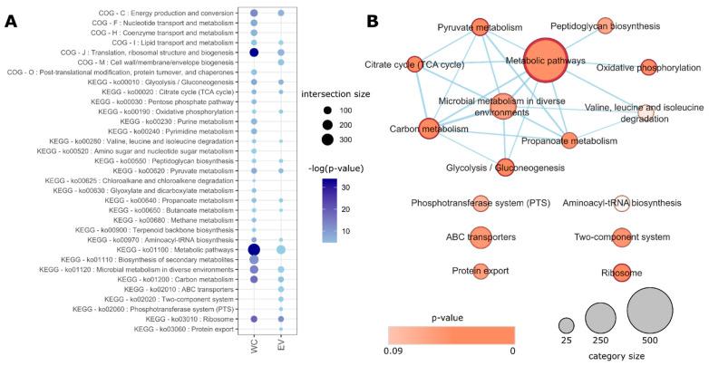 https://cdn.ncbi.nlm.nih.gov/pmc/blobs/9a28/9506334/e0fa5fe274ec/microorganisms-10-01808-g003.jpg