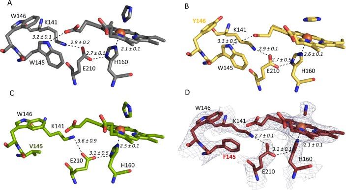 https://cdn.ncbi.nlm.nih.gov/pmc/blobs/9a2a/3893830/a537af130221/bi-2013-01042z_0003.jpg