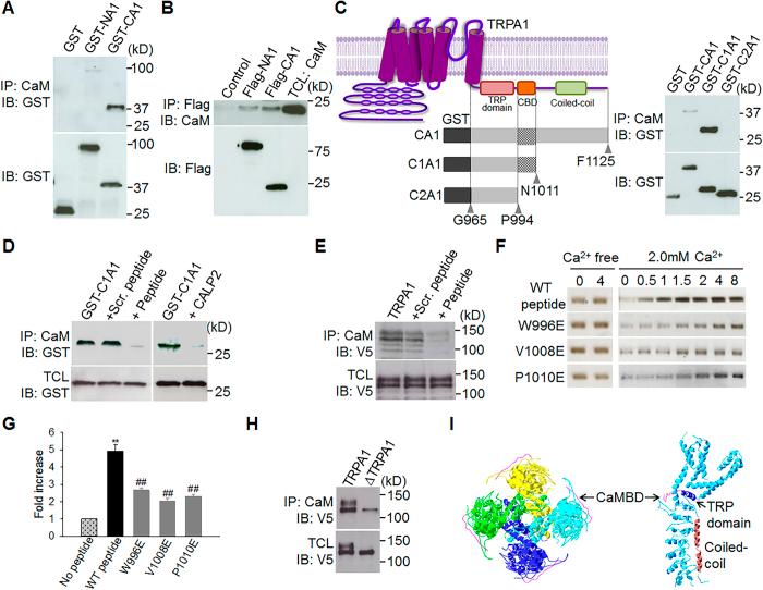 https://cdn.ncbi.nlm.nih.gov/pmc/blobs/9a2a/5362816/b81c978ac297/srep45098-f3.jpg