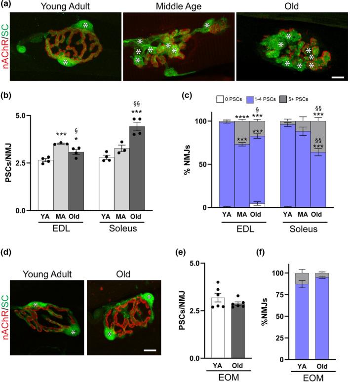 https://cdn.ncbi.nlm.nih.gov/pmc/blobs/9a2c/10652323/97476b30ad3c/ACEL-22-e13981-g006.jpg